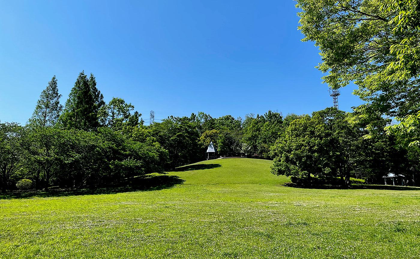 真光寺公園