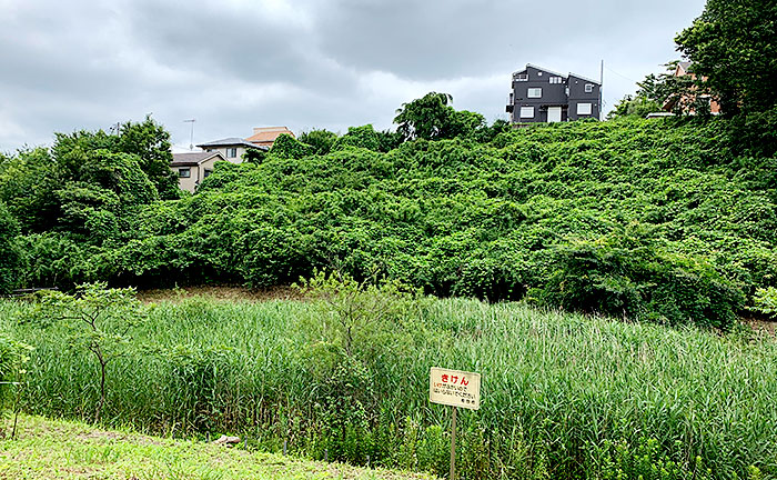 小山田端自然公園