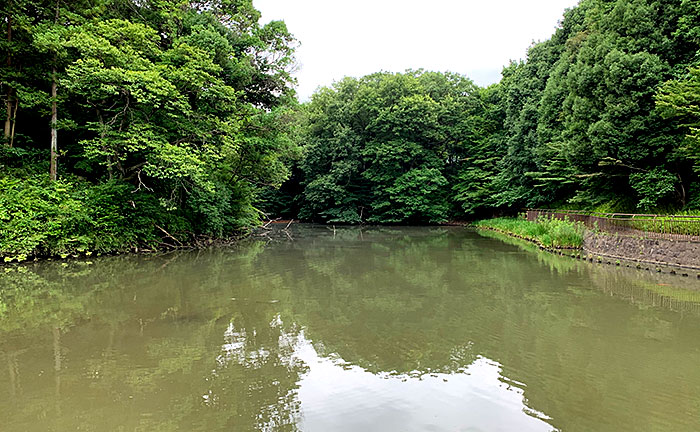 谷戸池公園