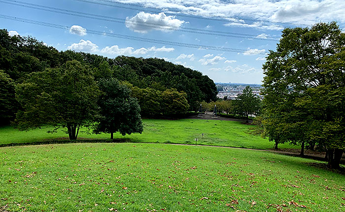 真光寺公園