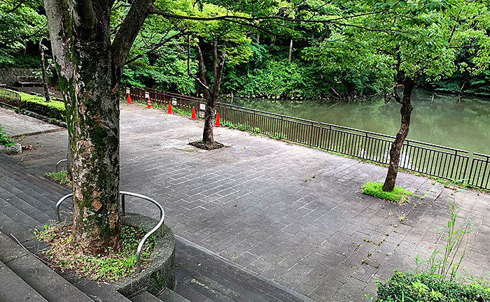 谷戸池公園