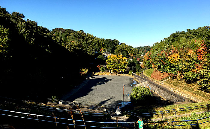 沢谷戸自然公園