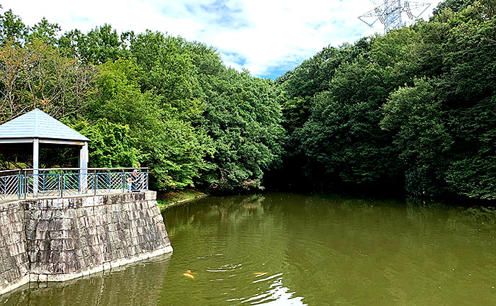 真光寺公園