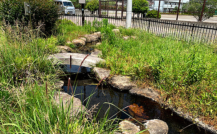 小野路下堤湧水公園