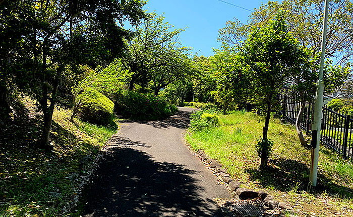 薬師台けやき公園