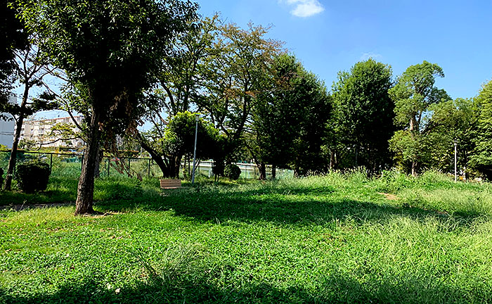 木曽山崎公園