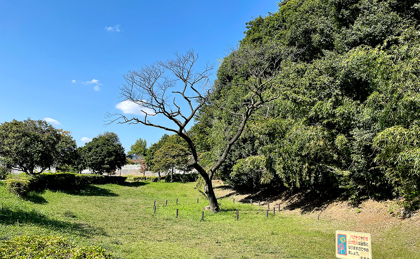 鶴川台緑の里公園