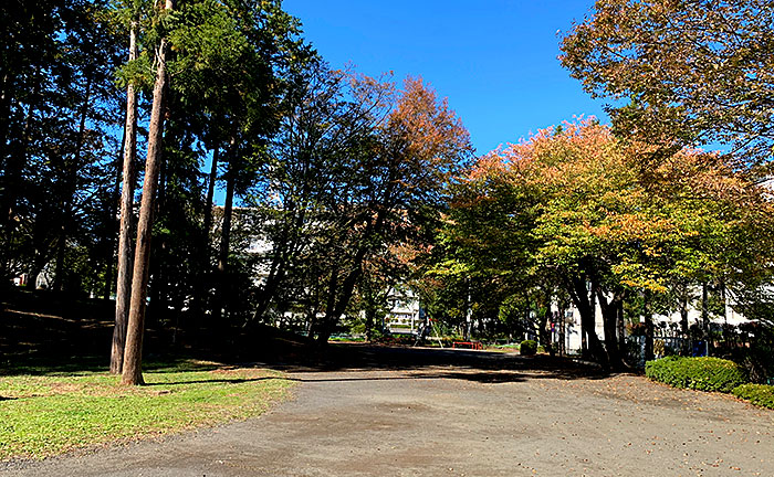 柄沢公園