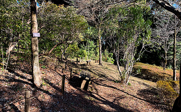 かしの木山自然公園