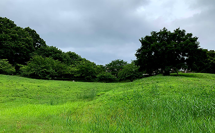 小山田桜台こぶし公園