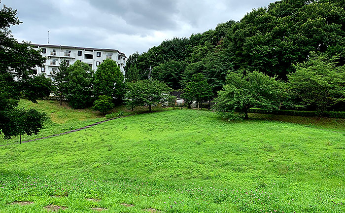 小山田桜台こぶし公園