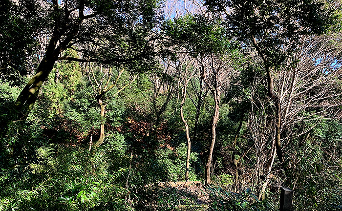 かしの木山自然公園