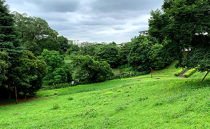 小山田桜台こぶし公園