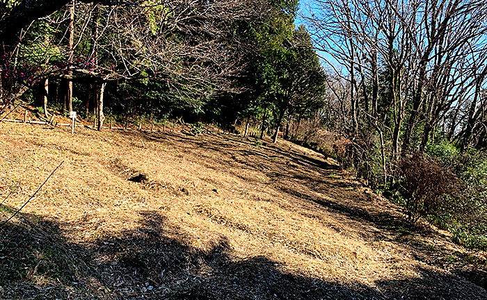 かしの木山自然公園