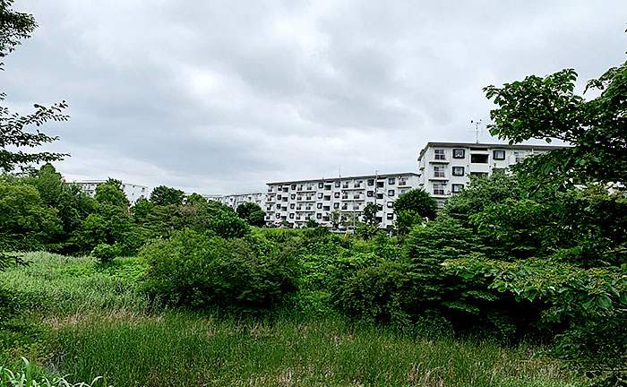 小山田桜台こぶし公園