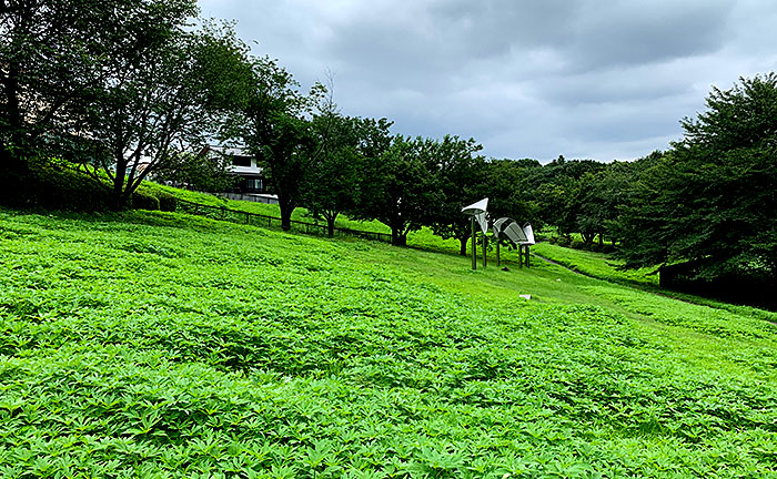 小山田桜台こぶし公園