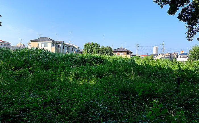 金時山公園