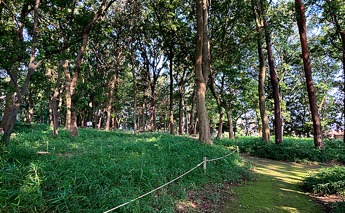 金時山公園