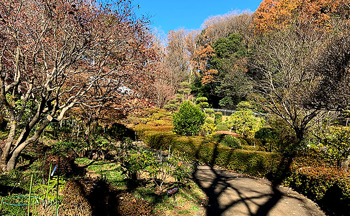 民権の森公園