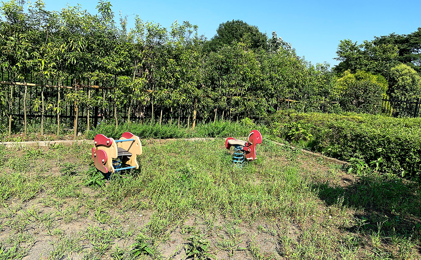 本町田ツツジの丘公園