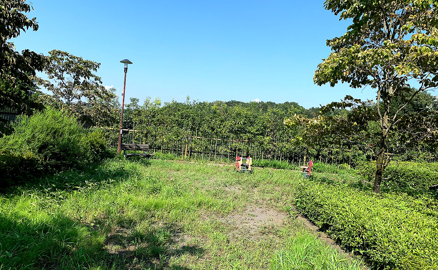 本町田ツツジの丘公園