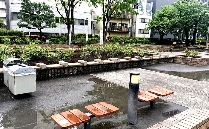 氷川公園