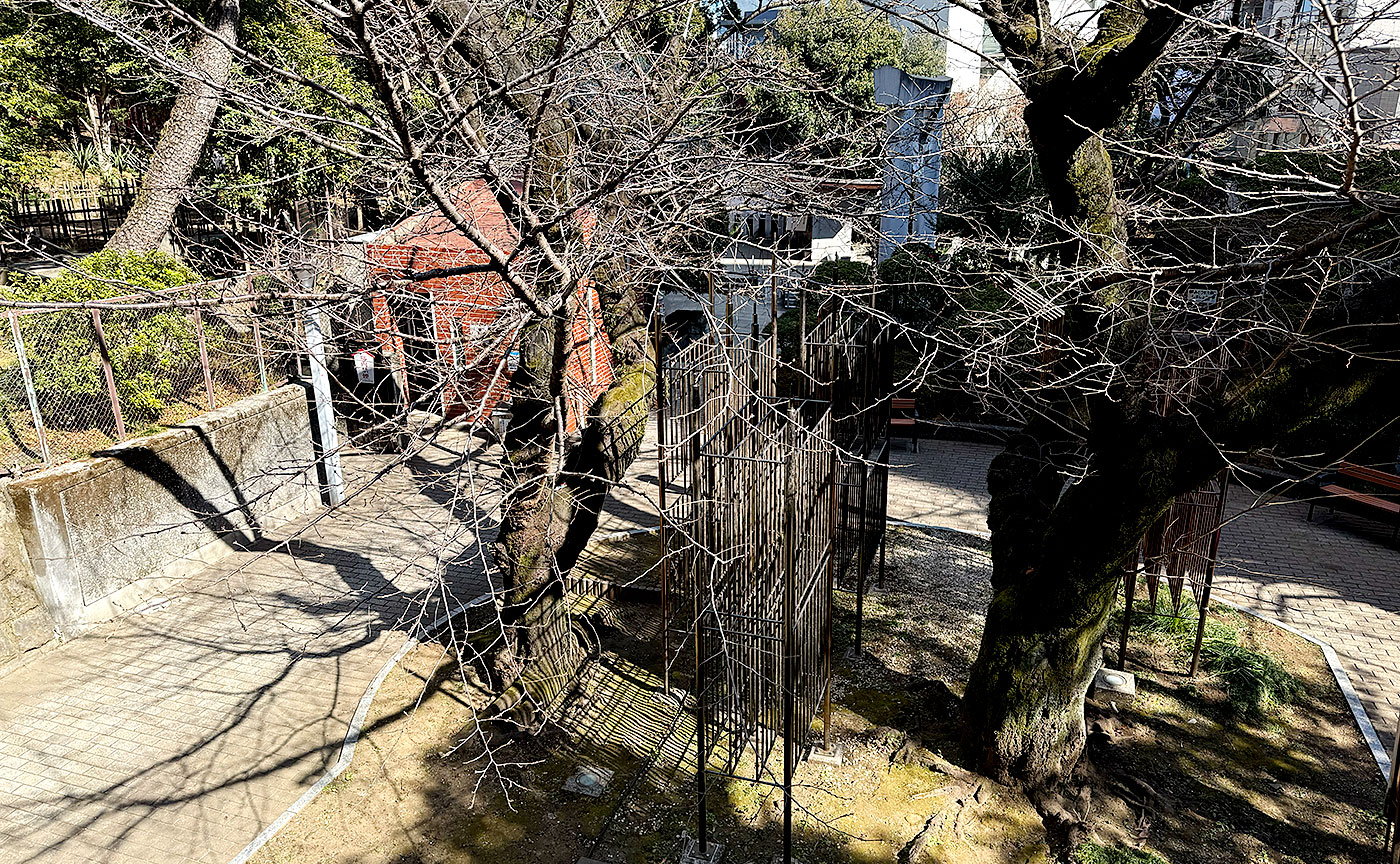 乃木公園