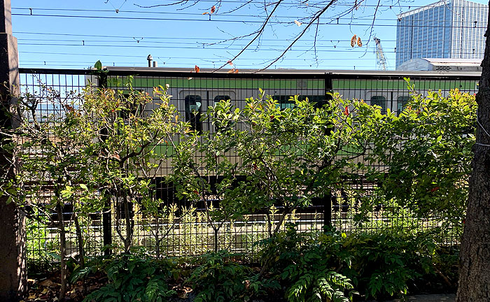 車町児童遊園