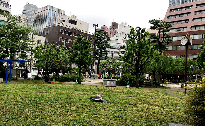 南桜公園