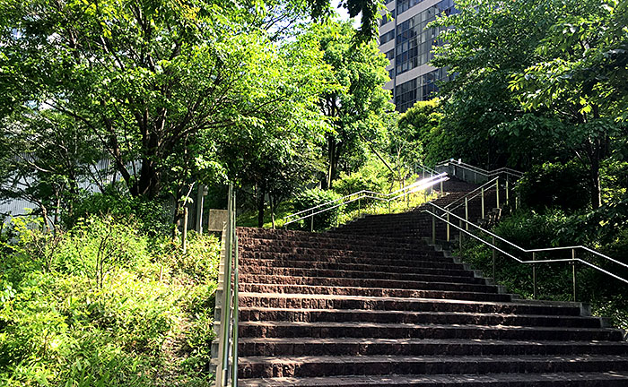 円通寺坂公園