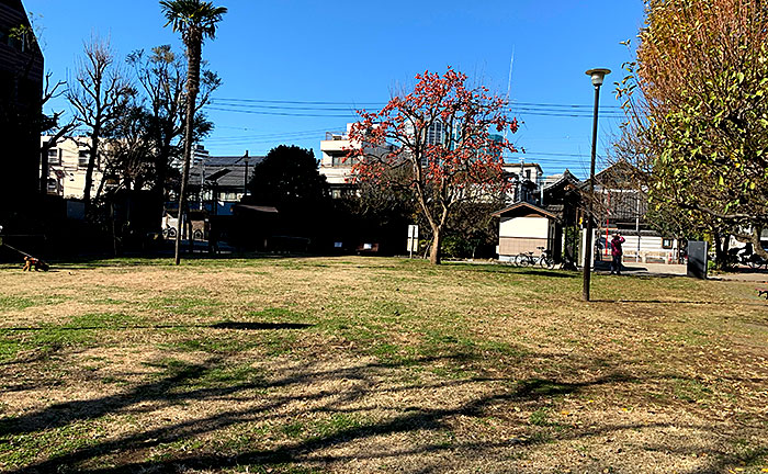 三田台公園