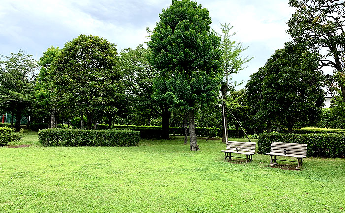 お台場レインボー公園