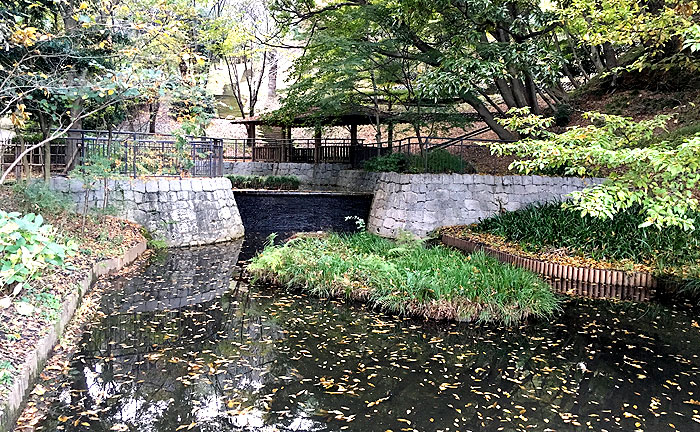 稲城中央公園の池