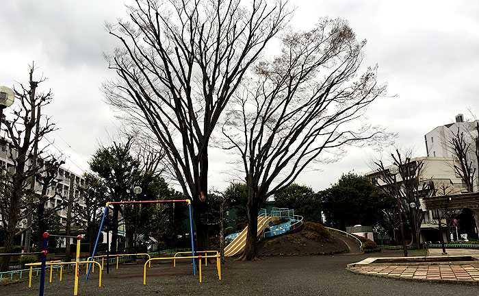 世田谷弁天公園