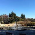 世田谷区の公園