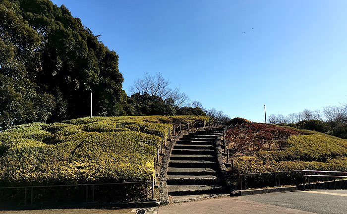 世田谷公園