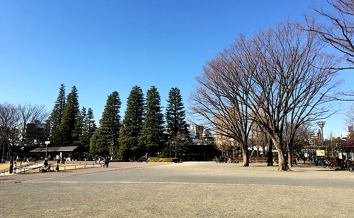 世田谷公園