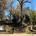 世田谷区の公園