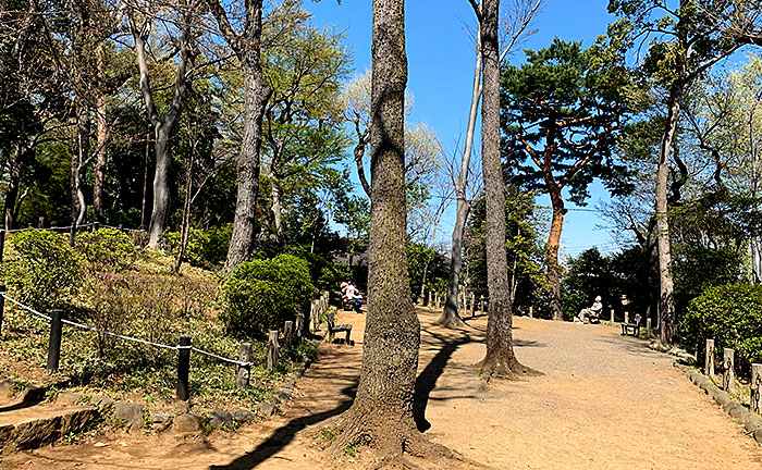 世田谷城阯公園