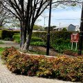 世田谷区の公園