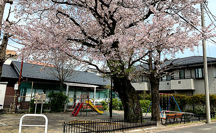 砧六丁目公園