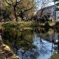 世田谷区の公園