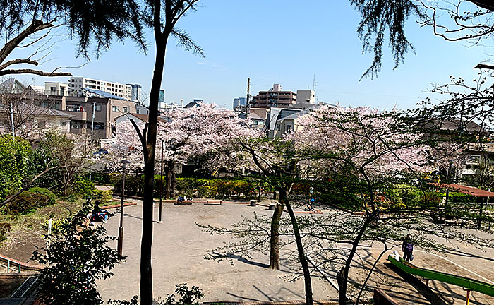 駒繋公園