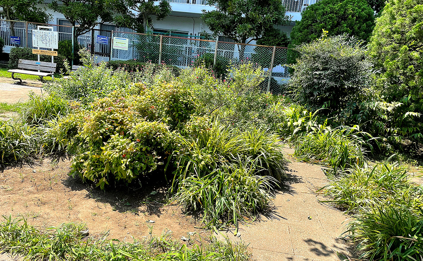 南烏山なんてん公園