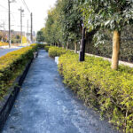 世田谷区の公園