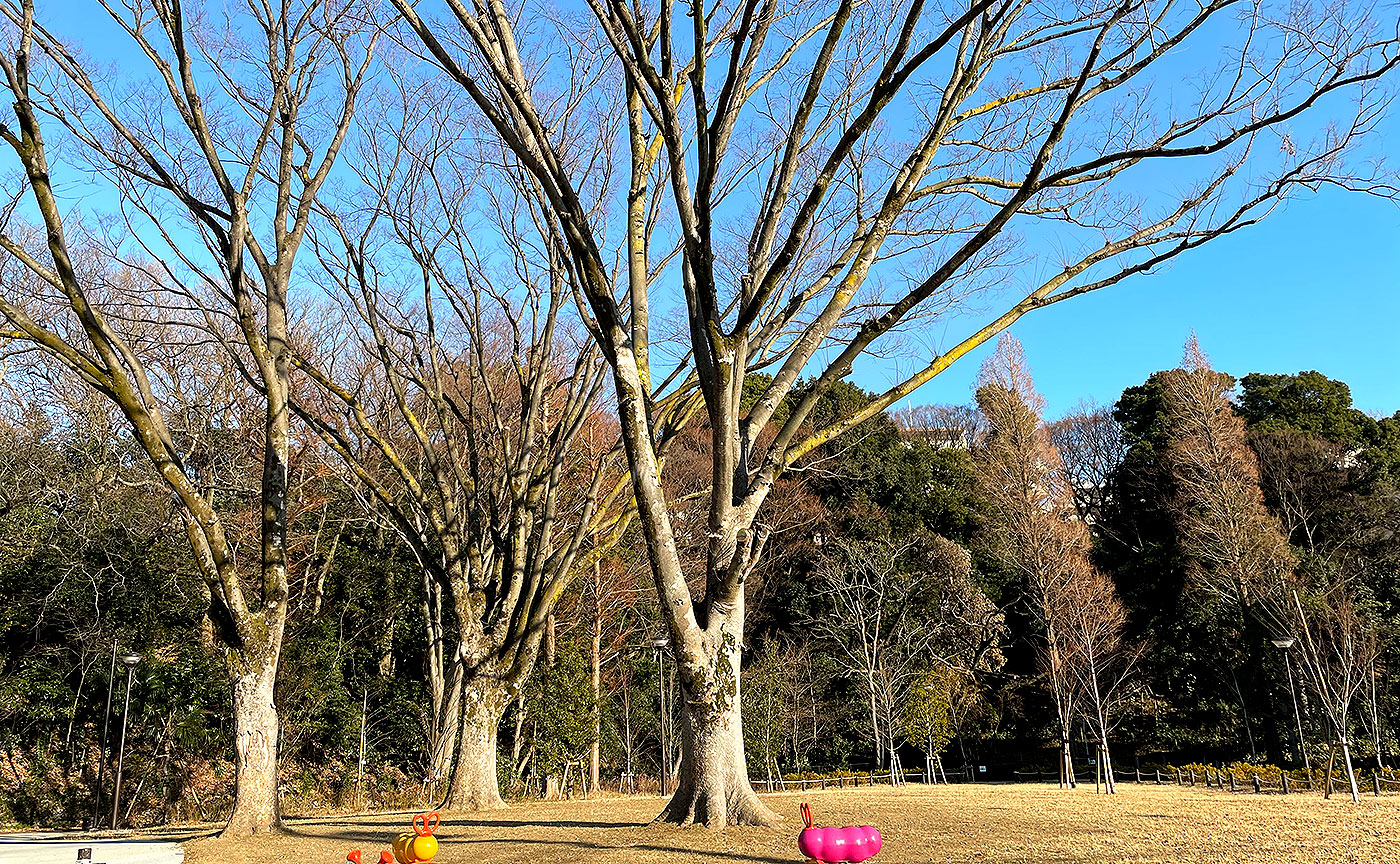 大蔵三丁目公園