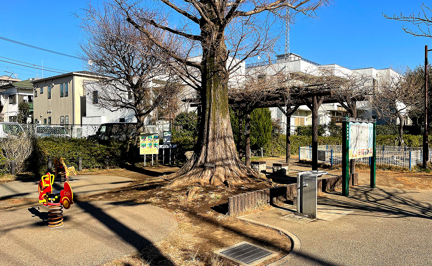 経堂大橋公園