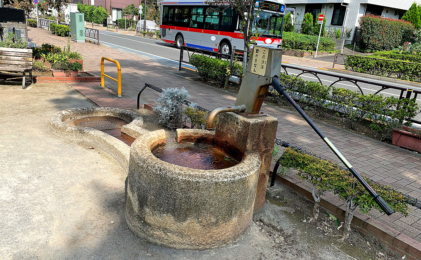 世田谷どんぐりひろば公園