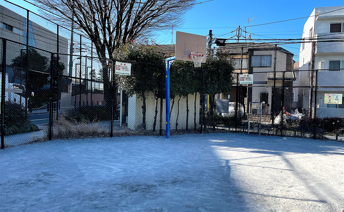 桜みんなの公園