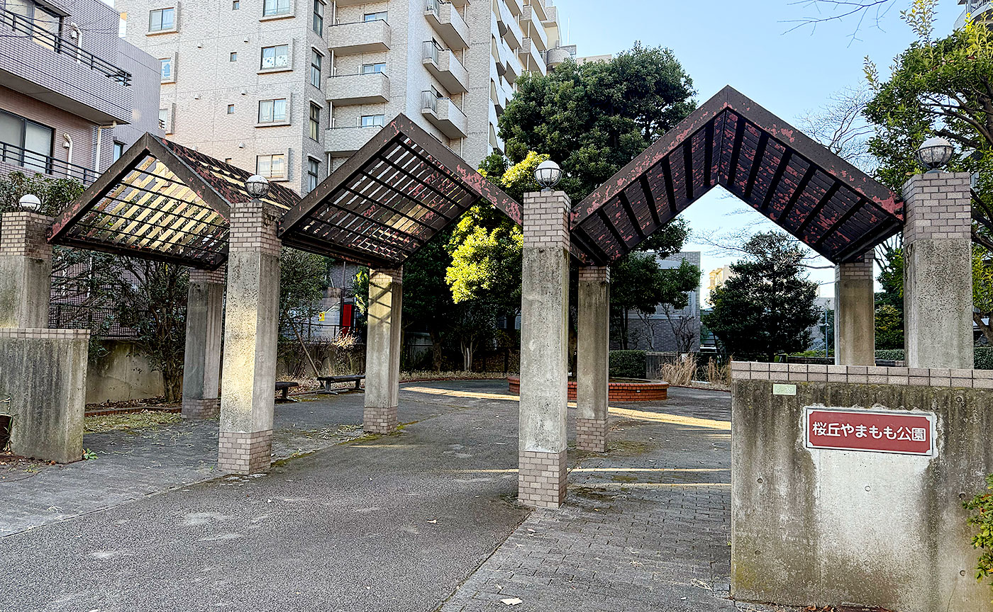 桜丘やまもも公園